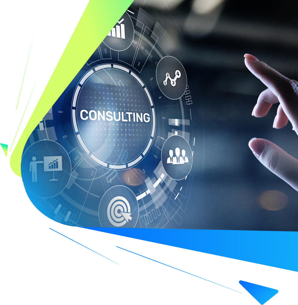 ERP Consulting